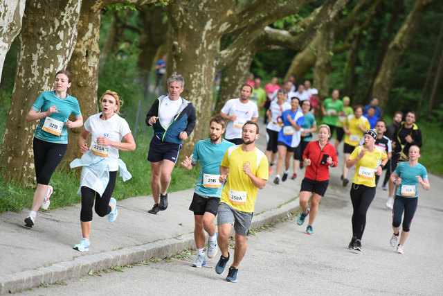 Foto: Wolfgang Spitzbart