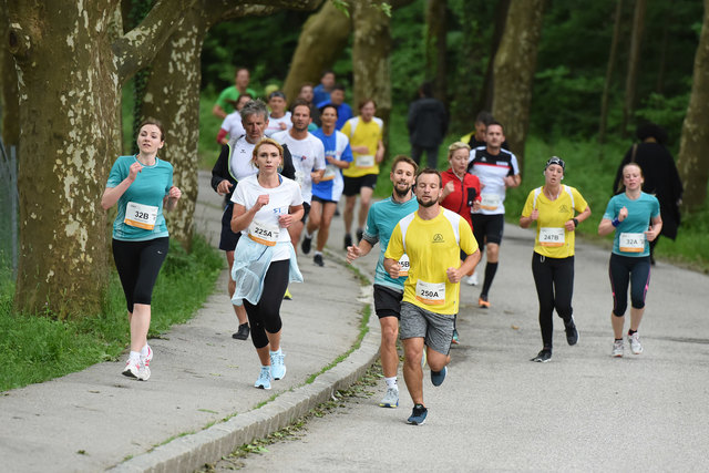 Foto: Wolfgang Spitzbart