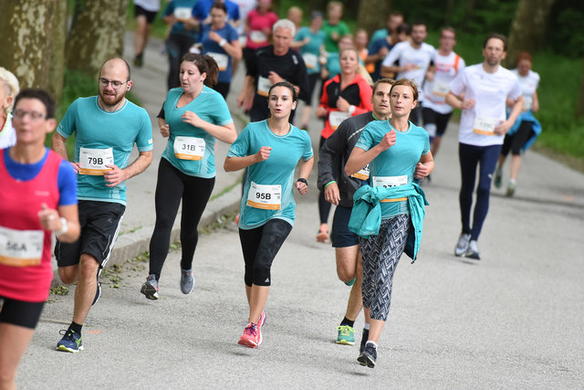 Foto: Wolfgang Spitzbart