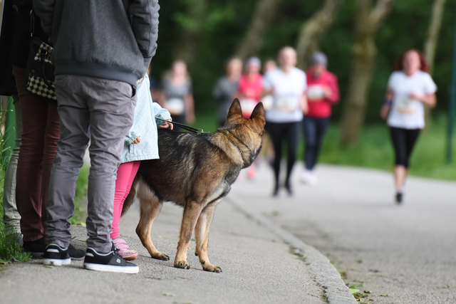 Foto: Wolfgang Spitzbart