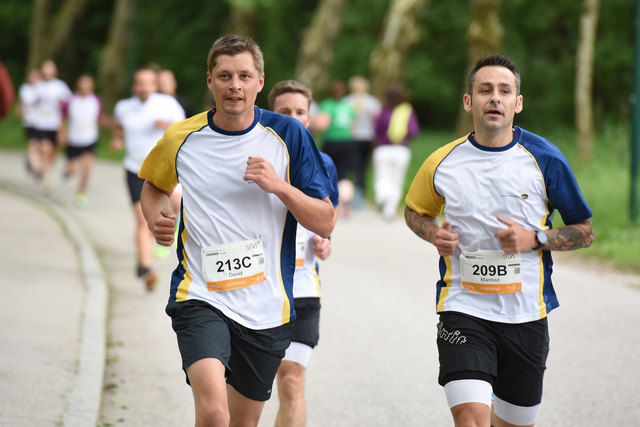 Foto: Wolfgang Spitzbart