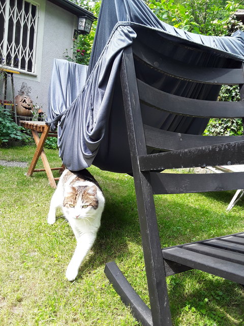 Kontrolle, ob's schon trocken ist.