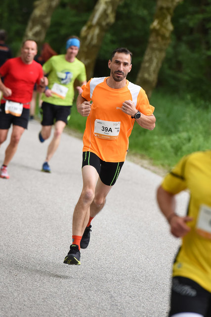 Foto: Wolfgang Spitzbart