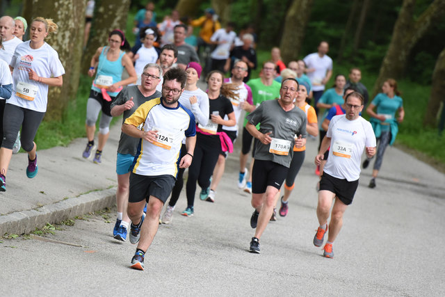 Foto: Wolfgang Spitzbart