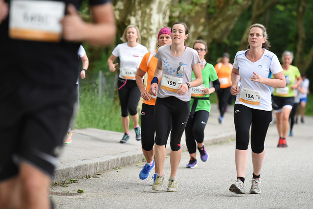 Foto: Wolfgang Spitzbart