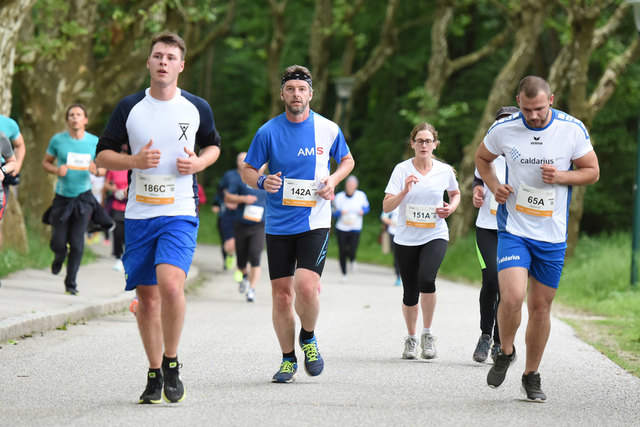 Foto: Wolfgang Spitzbart