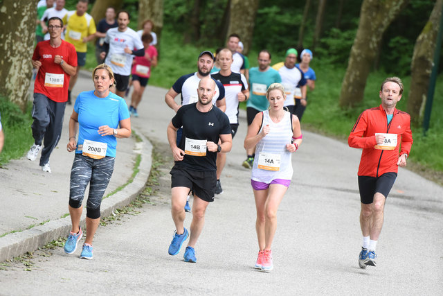 Foto: Wolfgang Spitzbart