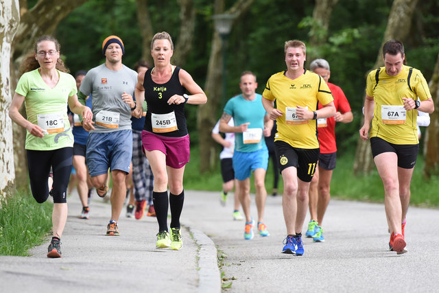 Foto: Wolfgang Spitzbart