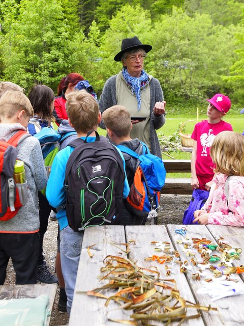 Schüler lernen Wissenswertes über und in der Natur | Foto: kk/Naturpark
