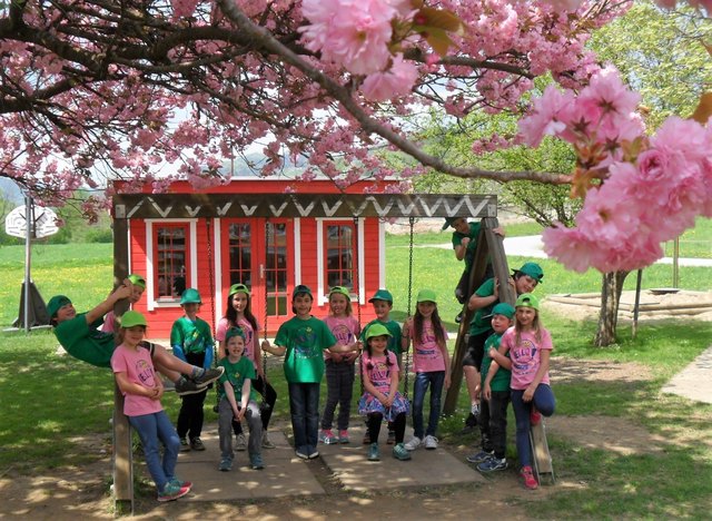 "Hello" aus Wildbach: Die Schüler der Mehrstufeninklusionsklasse grüßten bei "Schoolovision" Kinder aus ganz Europa. | Foto: KK