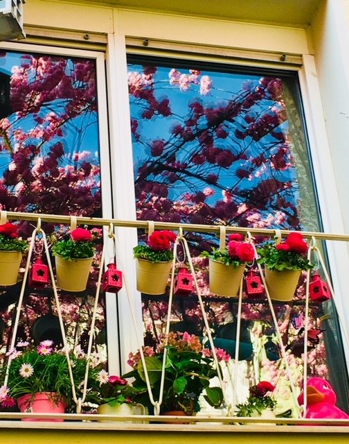 Ein Fenster kann der Spiegel des Menschen Seele sein!