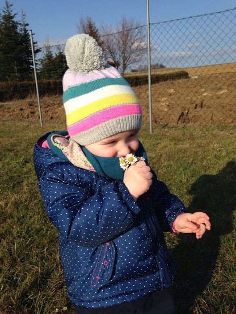 die ersten Frühlingsboten