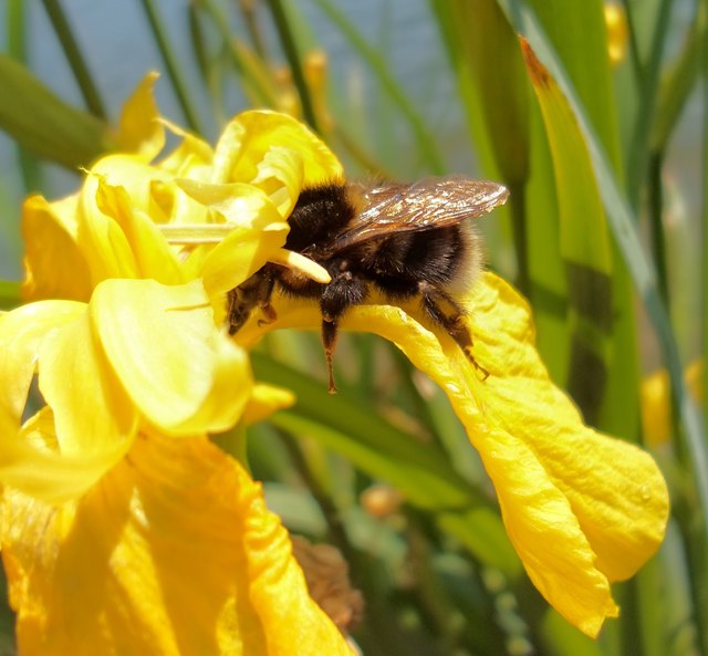 Frühlingsmüdigkeit?