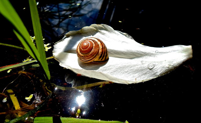 ... wo Sterne das Meer berühren ...