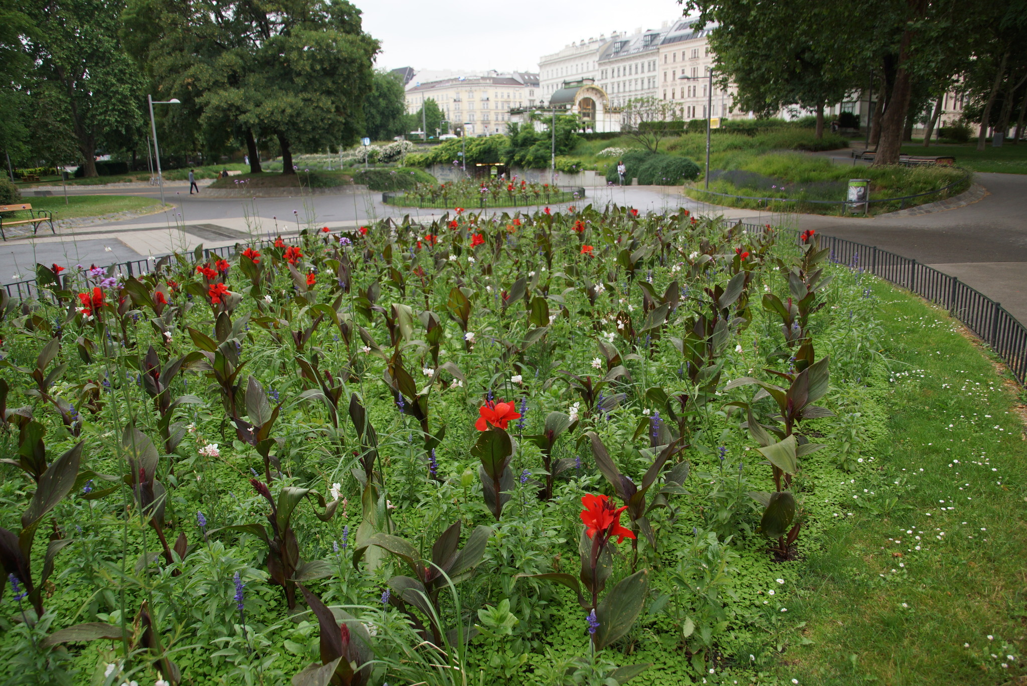 Schöne Arbeit der Wiener Gärtner Liesing
