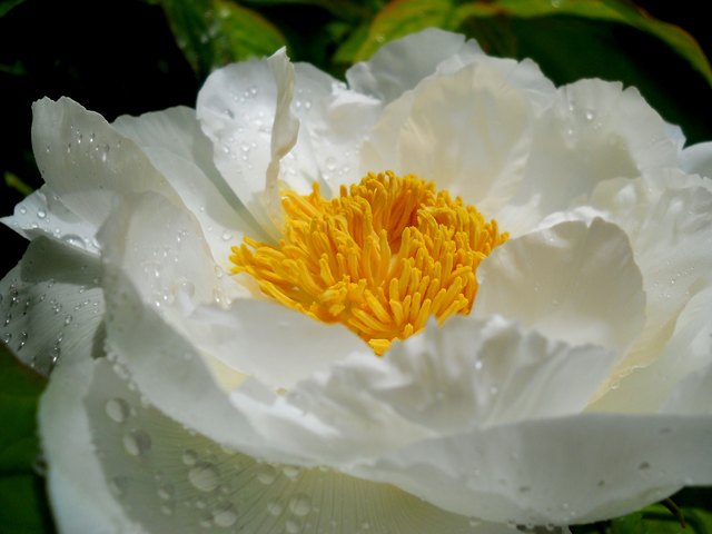 Auf Regen folgt Sonnenschein.