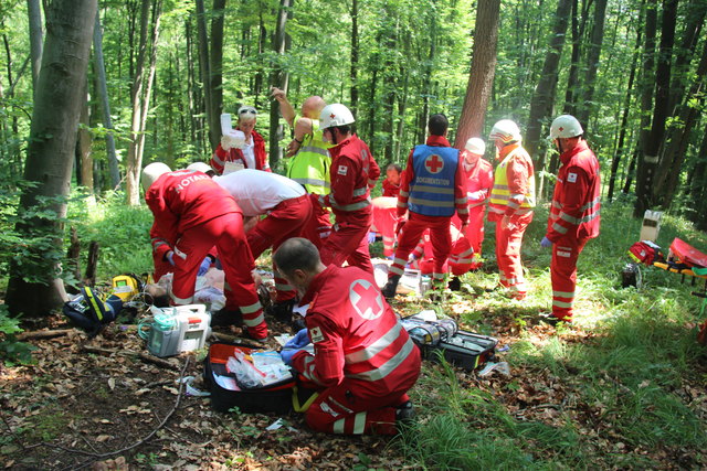 ÖRK: Rotes Kreuz Klosterneuburg - Trail Weidlingbach