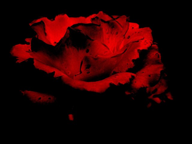 „Früchte reifen durch die Sonne; Menschen reifen durch die Liebe.“ Julius Langbehn