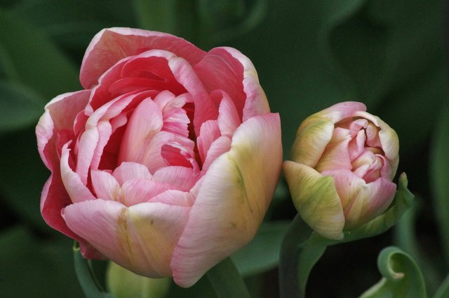 Zu zweit ist es am schönsten!