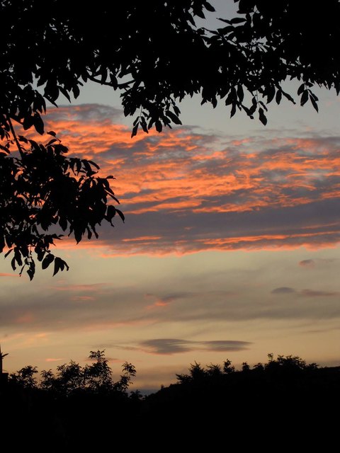 Frühlingsdämmerung