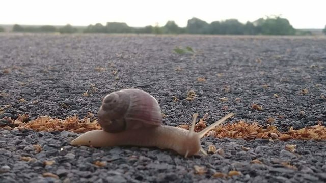 Frühling im Tierreich