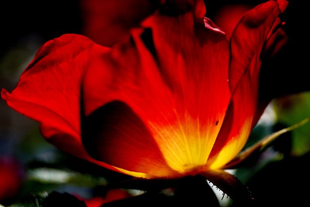 ein leuchtender Moment