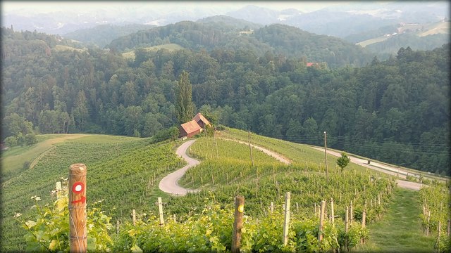 Ein Frühling fürs Herz