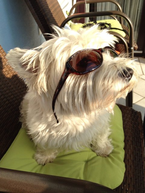 Genießen der ersten Sonnenstrahlen