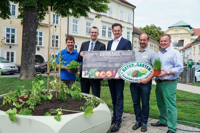 Stadtgärtner Ludwig Mayr, Vize. Bürgermeister Roland Honeder, Bürgermeister Stefan Schmuckenschlager, Robert Lhotka von Natur im Garten und Umweltgemeinderat Leopold Spitzbart | Foto: Stadtgemeinde/ Zibuschka