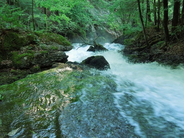 Beim Wasserschloss in Fürstenbrunn/Grödig tritt die Quelle ans Tageslicht, die die Stadt Salzburg mit frischem Trinkwasser versorgt. Sprudelnd-erfrischender wird´s nicht mehr!!!