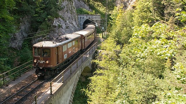 Mit dem Ötscherbär über die Viadukte der Strecke. | Foto: NÖVOG