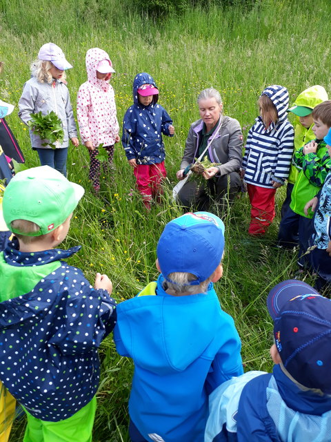  Kindergarten Blumenwiese auf Kräuter- Entdeckungsreise - Leoben Motiv 