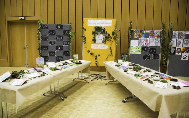 Kunstausstellung Käthe Recheis-NMS Hörsching | Foto: Sissy Pfarr