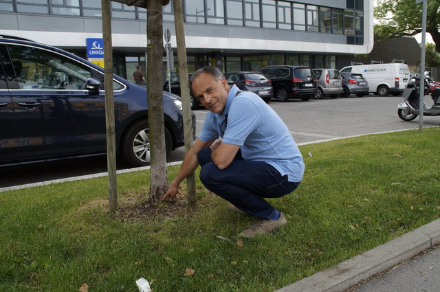 Der Stamm wurde beschädigt, weil er zu wenig geschützt wurde, zeigt Anrainer Alexander Mayr-Harting.
