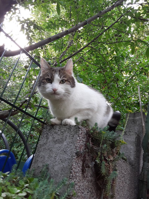 Schönen guten Morgen!