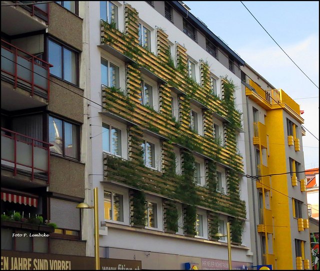 Die begrünte Hausfront