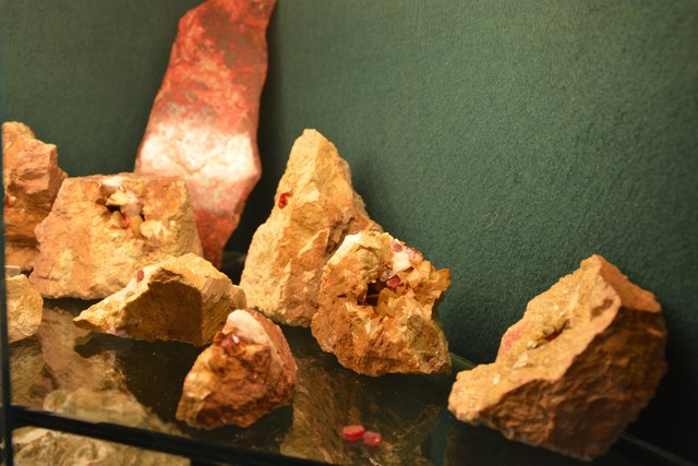 Solche Schätze beherbergt Peter Rothenburger in den Vitrinen seines Kellers in Scheibbs.