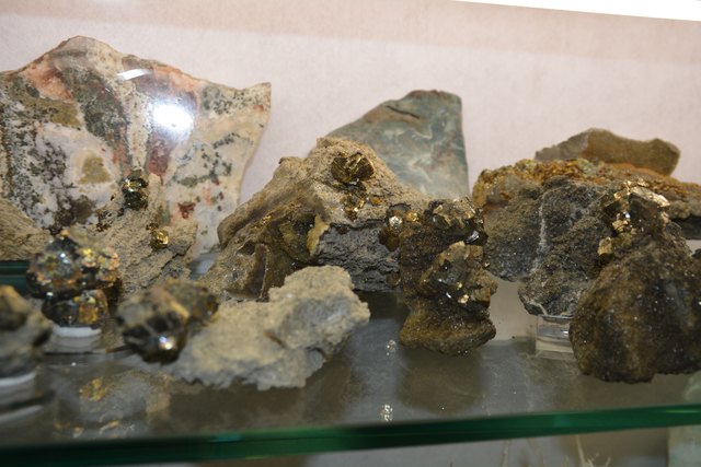 Solche Schätze beherbergt Peter Rothenburger in den Vitrinen seines Kellers in Scheibbs.
