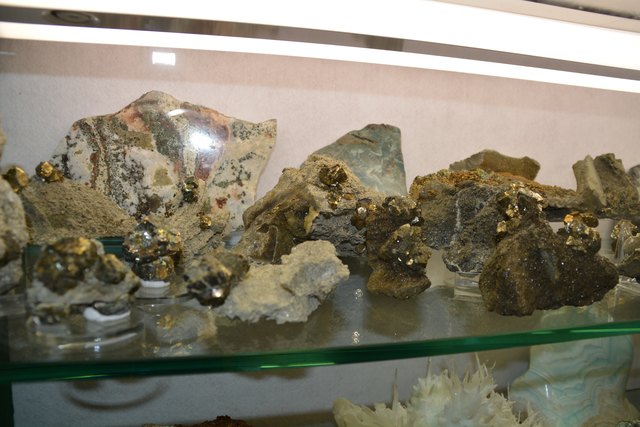 Solche Schätze beherbergt Peter Rothenburger in den Vitrinen seines Kellers in Scheibbs.