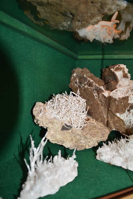 Solche Schätze beherbergt Peter Rothenburger in den Vitrinen seines Kellers in Scheibbs.