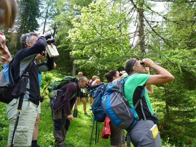 Hans Uhl (Bildmitte) mit Teilnehmern | Foto: Sabina Haslinger