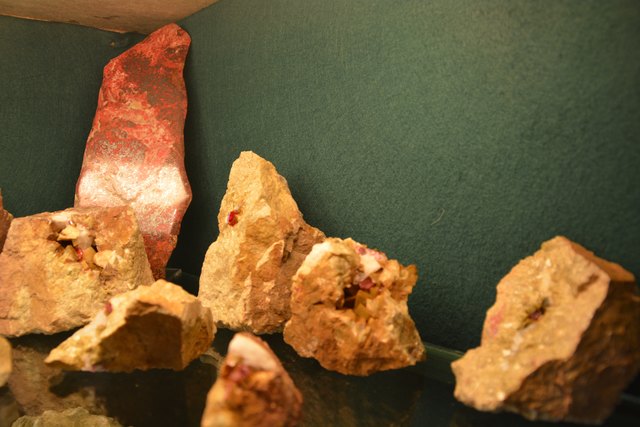 Solche Schätze beherbergt Peter Rothenburger in den Vitrinen seines Kellers in Scheibbs.