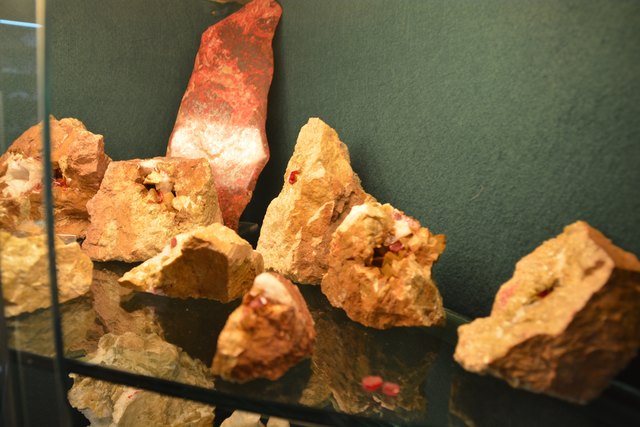 Solche Schätze beherbergt Peter Rothenburger in den Vitrinen seines Kellers in Scheibbs.