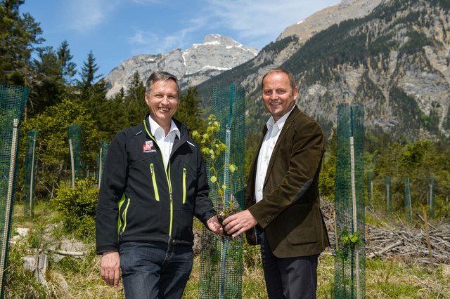 (von li.): Über zwei Millionen junger, standortangepasster Bäume wurden im Tiroler Schutzwald heuer gepflanzt. Das freut Landesforstdirektor Josef Fuchs und Forstreferent LHStv Josef Geisler. | Foto: © Land Tirol/Oss