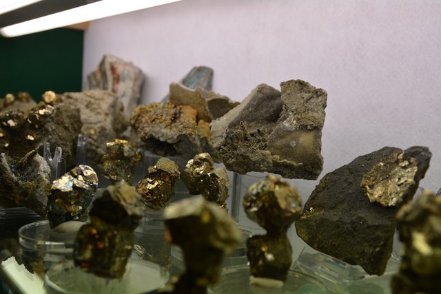 Solche Schätze beherbergt Peter Rothenburger in den Vitrinen seines Kellers in Scheibbs.