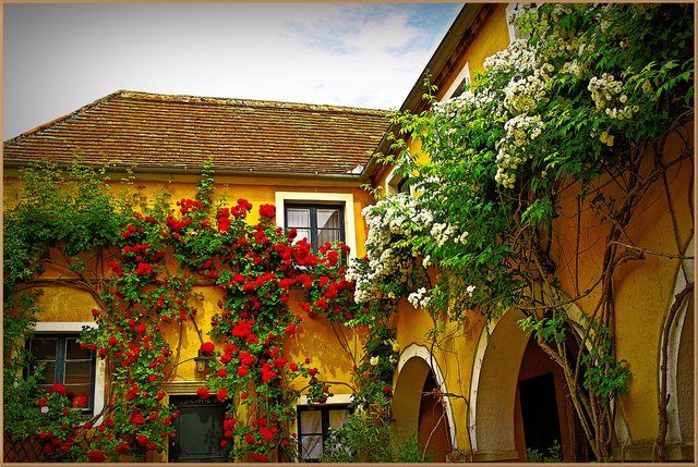 Ein wahres Dornröschenschloss!