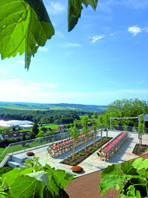 Die lange Tafel kann man in St. Anna genießen. TIPP:
Auf der langen Tafel bei der Vinothek in St. Anna spielen am 8. Juni 2018 Radkersburg 3 mit Friends AUSTROPOP PUR 2018 auf. VVK in der Gesamtsteirischen Vinothek. | Foto: TV St. Anna