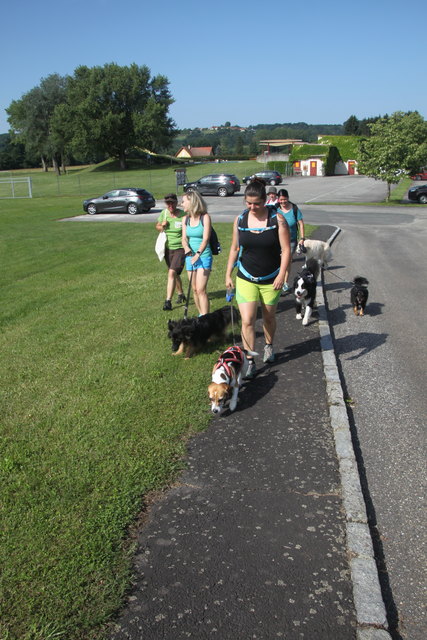 .. und los geht es..die Ermittlerteams machen sich auf den Weg