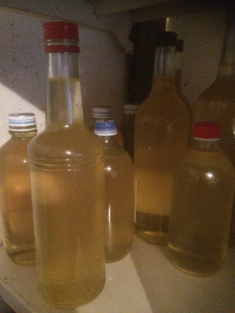 in Flaschen abfüllen ...und fertig....