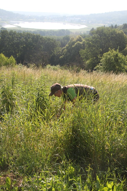 Vor dem Start werden die Hinweise gut versteckt..